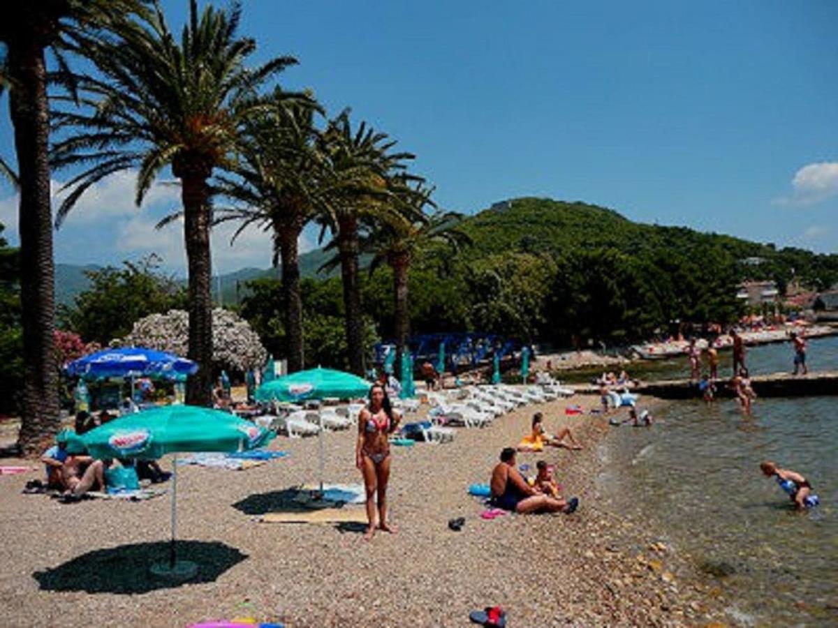 Apartment Jelaca Herceg Novi Exteriér fotografie